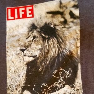 Lion shirt